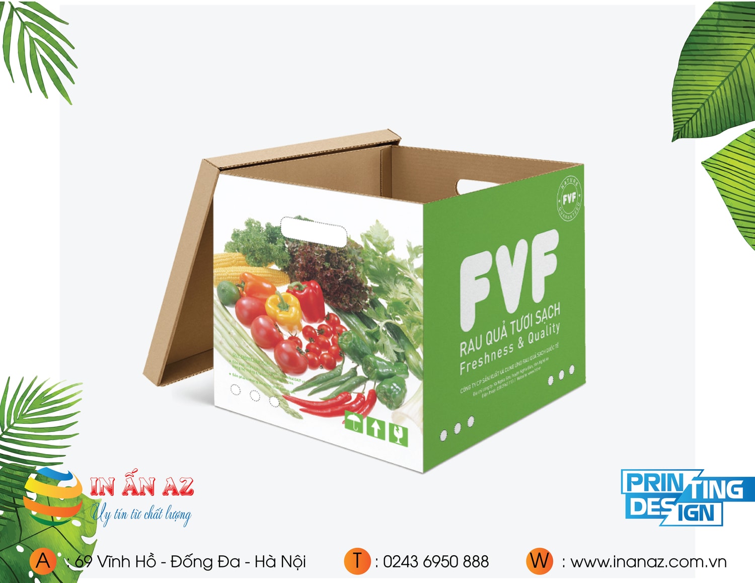 Mẫu hộp Carton Rau quả tươi sạch FVF