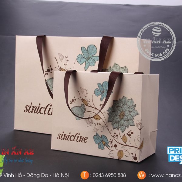 Túi Giấy 02 mẫu thiết kế hộp giấy