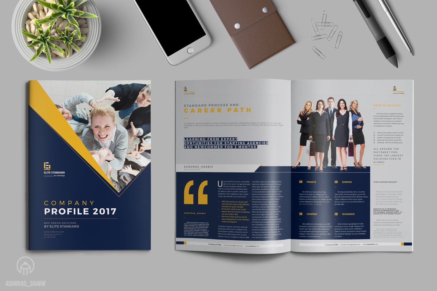 30+ Các Mẫu Profile Đẹp, Ấn Tượng Cho Bạn Tham Khảo