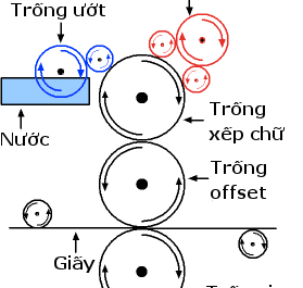 In Offset Là Gì? Ưu Điểm Của Công Nghệ In Offset