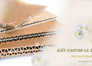Giấy carton là gì
