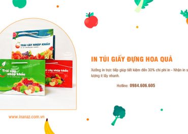 In túi giấy đựng hoa quả giá rẻ theo yêu cầu tại Hà Nội
