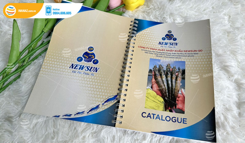 Mẫu catalogue đẹp và chuyên nghiệp cho Công ty NewSun