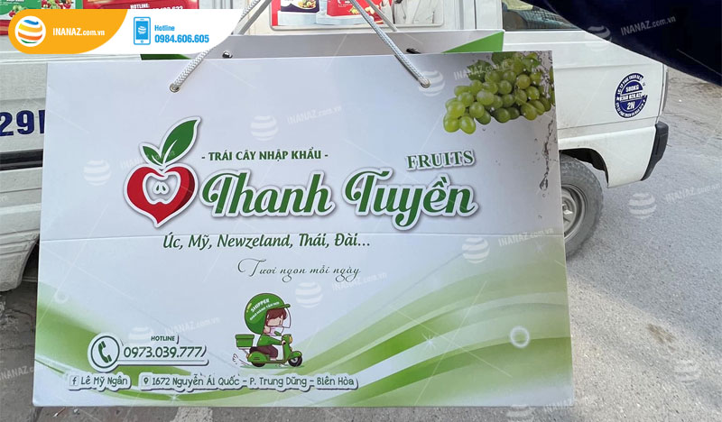 Mẫu túi giấy đựng hoa quả, trái cây nhập khẩu Thanh Tuyền