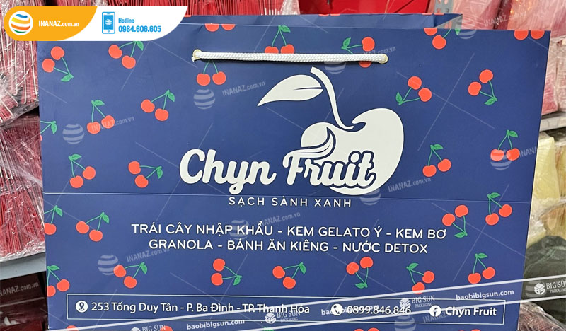 Mẫu túi giấy đựng hoa quả, trái cây Chyn Fruit