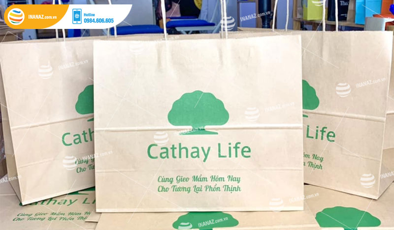 Mẫu túi giấy đựng thức ăn Cathay Life