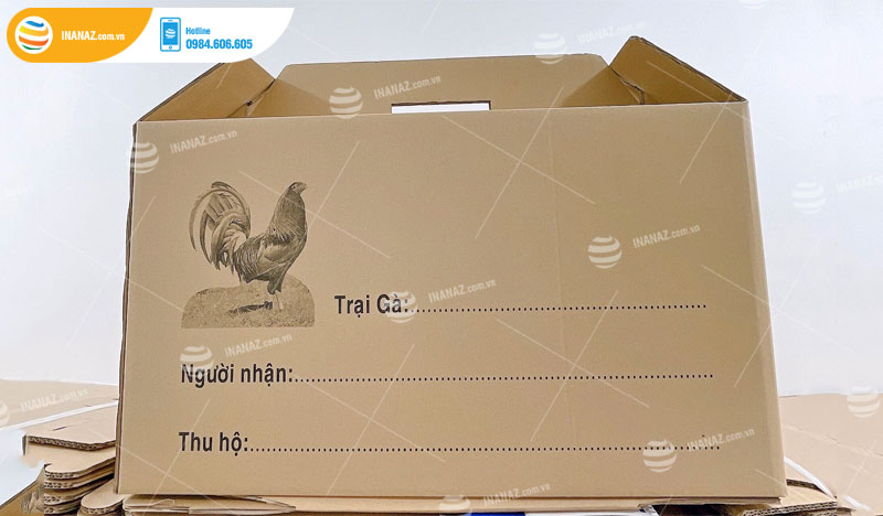 Mẫu hộp carton có quai xách