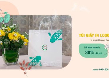 Túi giấy in logo theo yêu cầu, nhận in số lượng ít tại Hà Nội