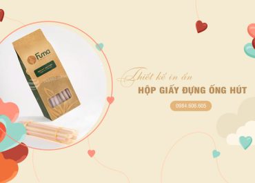 Xưởng in hộp giấy đựng ống hút giá rẻ theo yêu cầu tại Hà Nội