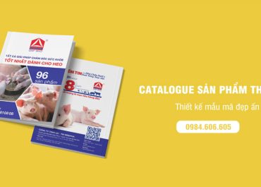 Tổng hợp những mẫu catalogue sản phẩm thuốc được thiết kế độc đáo và nổi bật