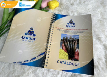 Mẫu catalogue công ty NEWSUN-QD