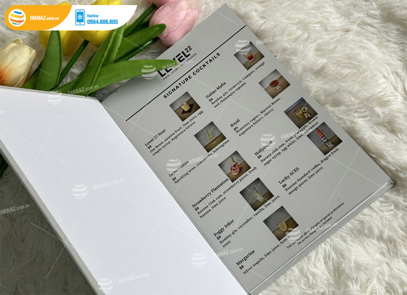 Mẫu catalogue thương hiệu Level22lounge