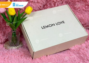 Mẫu hộp đựng quần áo cửa hàng Lemon Love