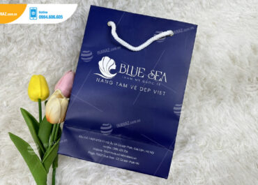 Mẫu túi giấy thẩm mỹ Quốc tế Blue Sea