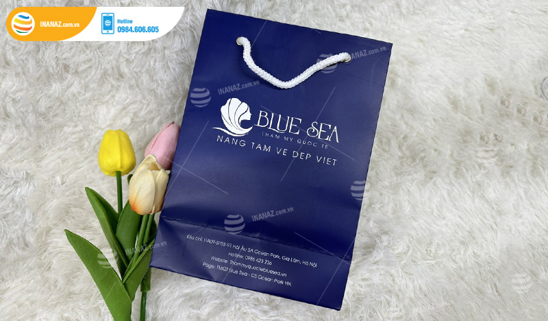 Mẫu túi giấy thẩm mỹ Quốc tế Blue Sea
