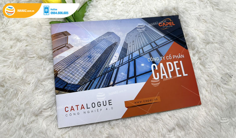 Mẫu catalogue Công ty Cổ phần Capel