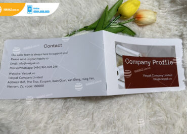 Mẫu profile Vietpak Company Limited
