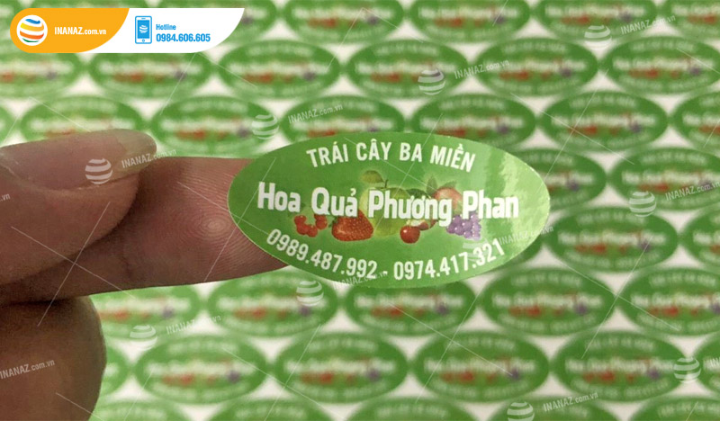 Mẫu sticker dán hình elip